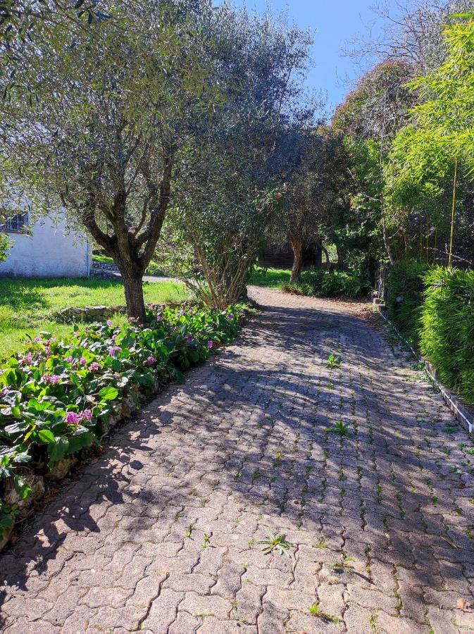 Villa Olivaie St Ange La Gaude Esterno foto